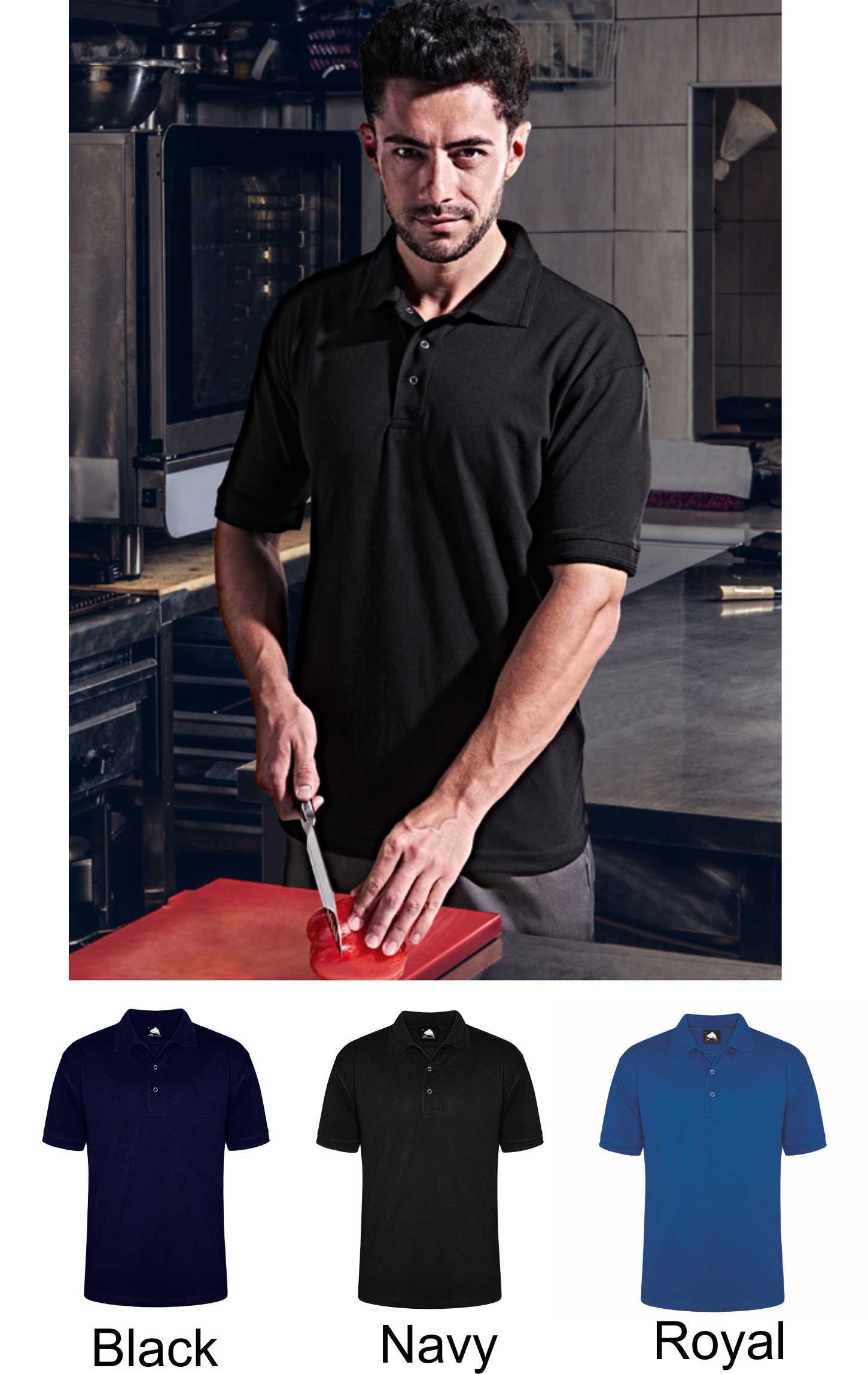 Orn 1158 Warbler Stud Polo  Orn 1158 Warbler Stud Polo